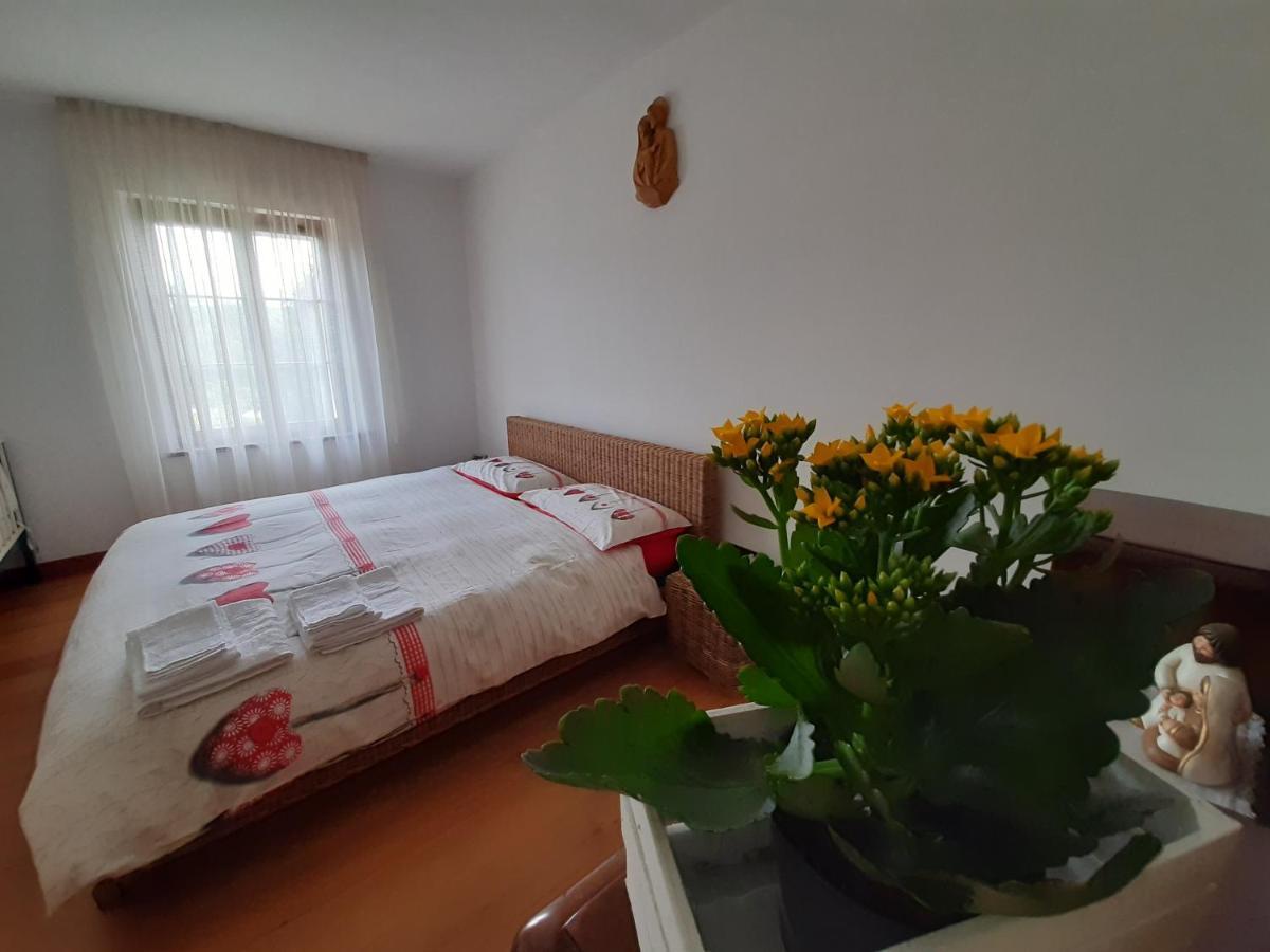 San Marcello Residence Feltre Esterno foto