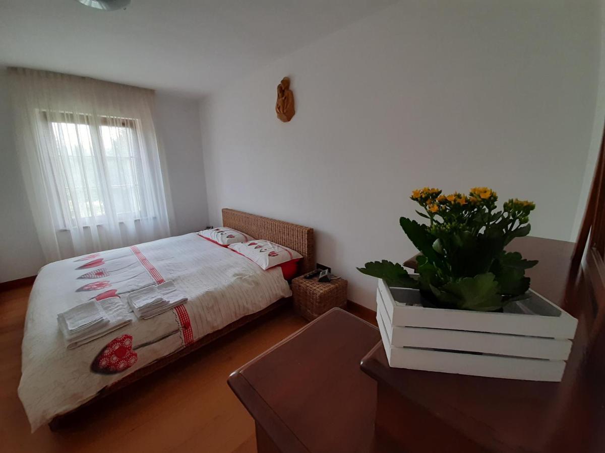 San Marcello Residence Feltre Esterno foto